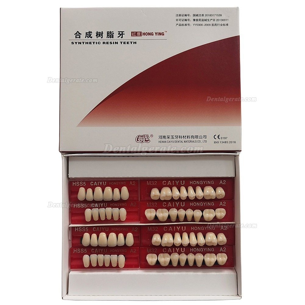 Caiyu Hongying Zahnprothesen aus Dentalharz (Dreischichtfarbe) A1/A2/A3/A3.5/A4